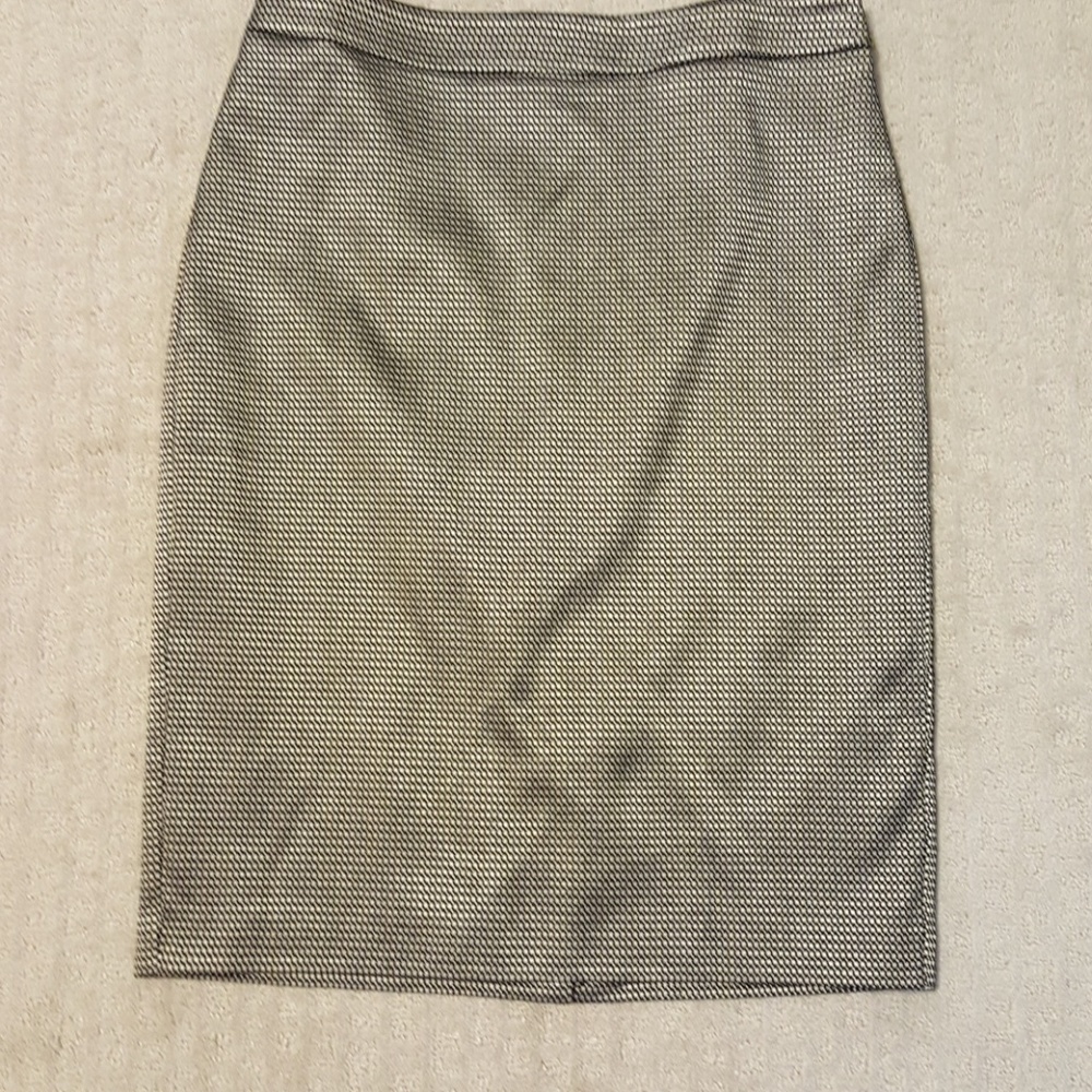 Ann Taylor Skirt